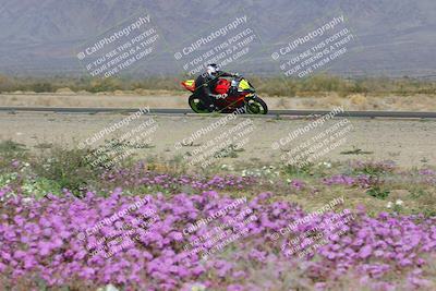 media/Feb-04-2023-SoCal Trackdays (Sat) [[8a776bf2c3]]/Turn 15 Inside Blooming (1050am)/